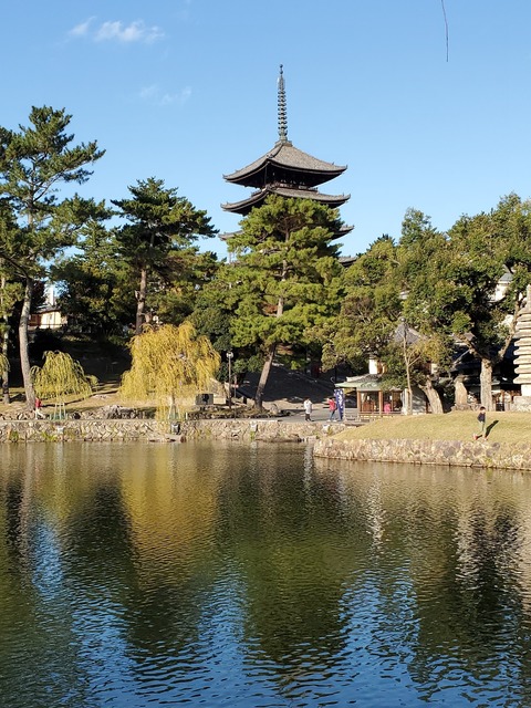 20191108_152733.jpg