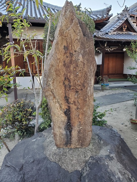 20191108_154407.jpg