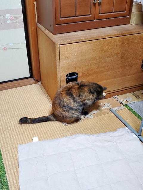 20191230_074245.jpg